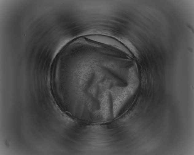 X0000093150896200710171348