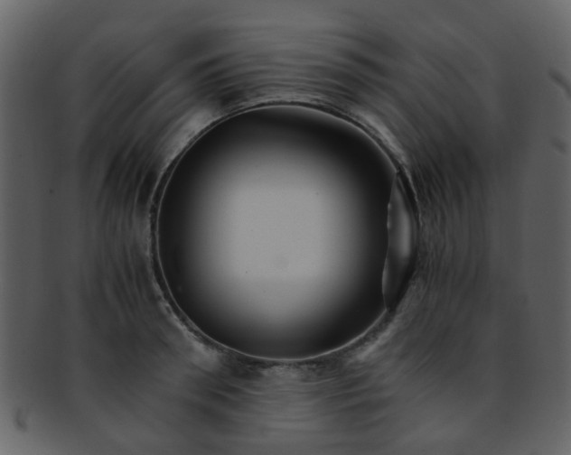 X0000093150898200710171348