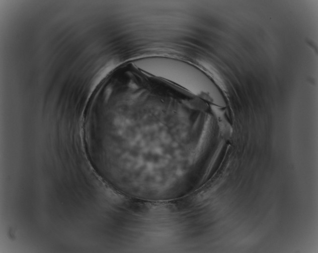 X0000093150899200710171348