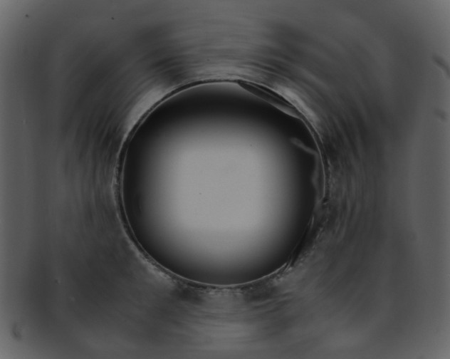 X0000093150901200710171348