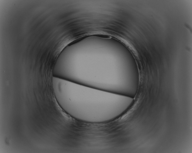 X0000093150905200710171348