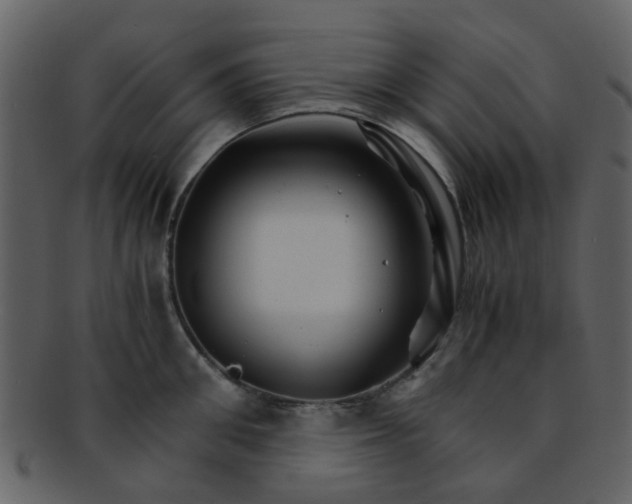 X0000093150906200710171348