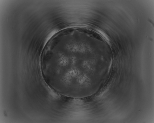 X0000093150907200710171348