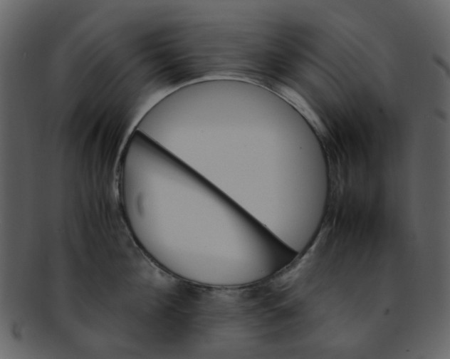 X0000093150908200710171348