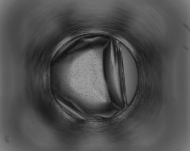 X0000093150910200710171348