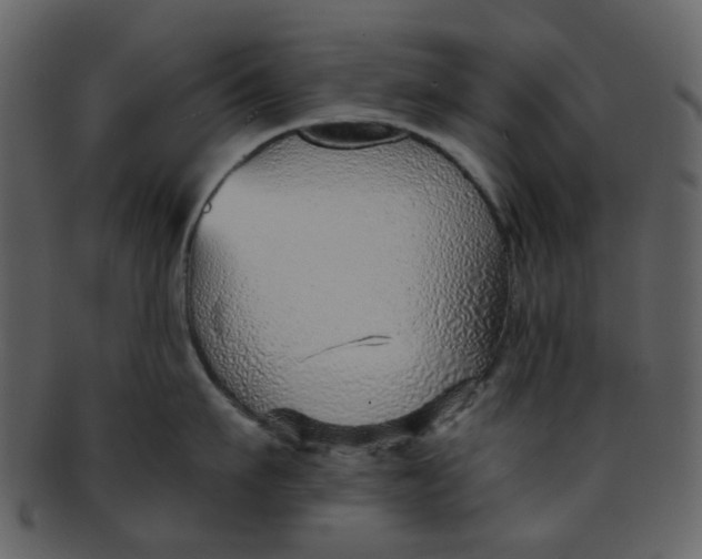 X0000093150911200710171348