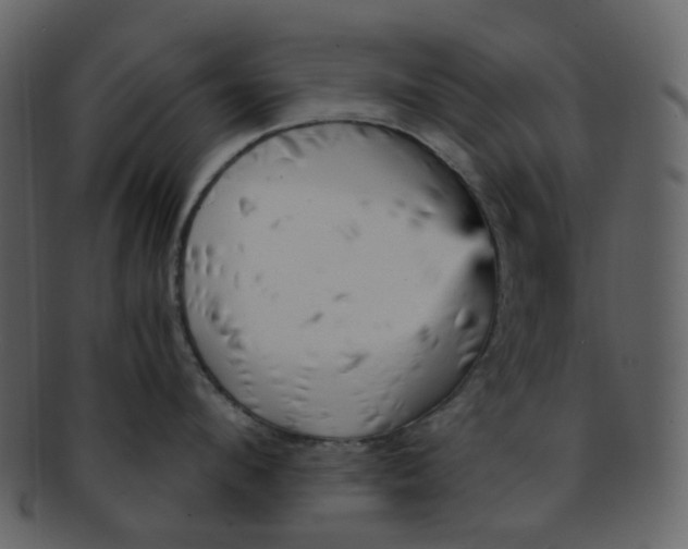 X0000093150912200710171348