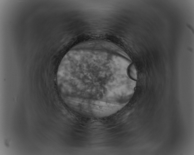 X0000093150913200710171347