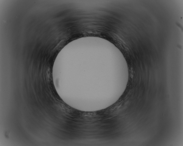 X0000093150915200710171347