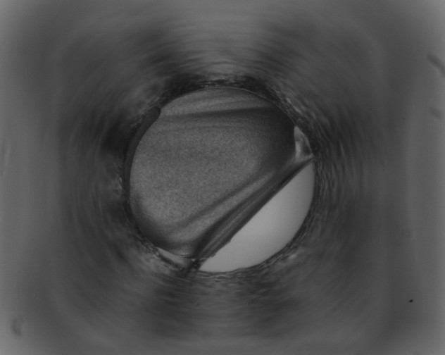 X0000093150916200710171347