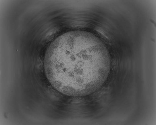 X0000093150917200710171347