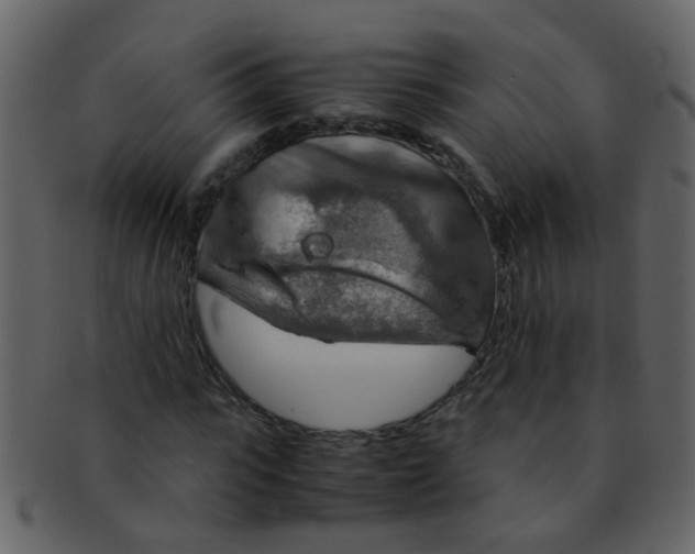 X0000093150919200710171347