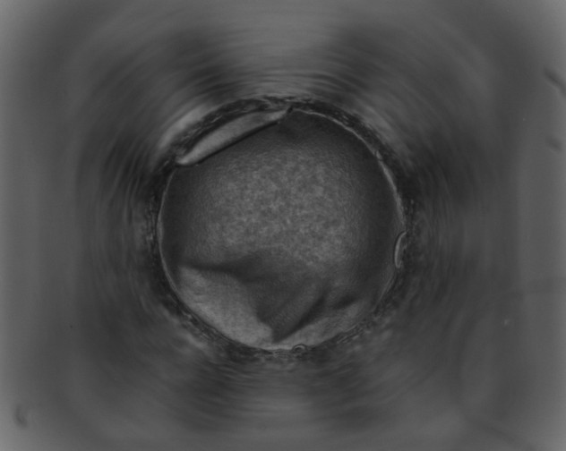 X0000093150920200710171347