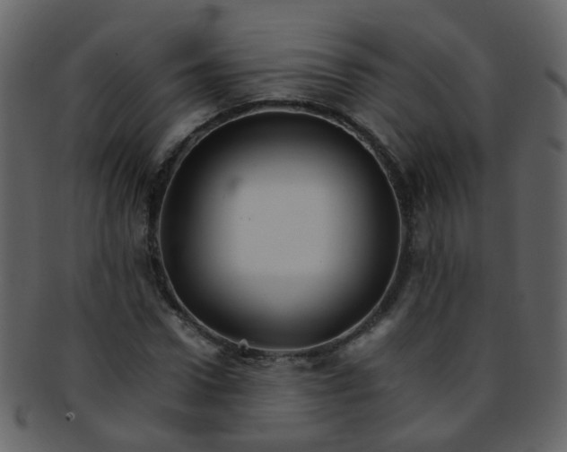 X0000093150922200710171347