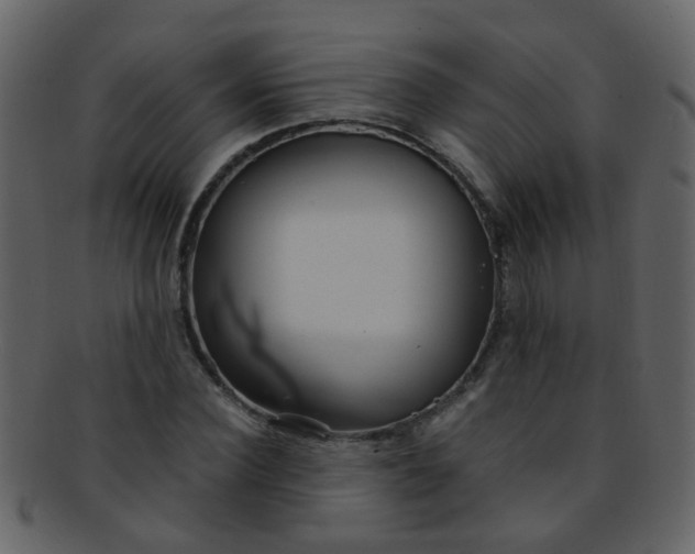 X0000093150924200710171347