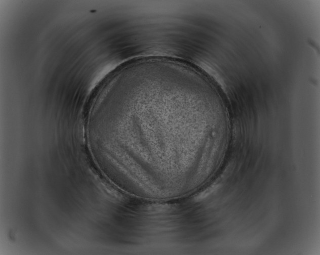 X0000093150925200710171347