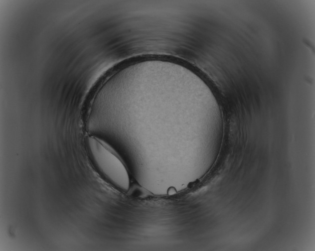 X0000093150926200710171347