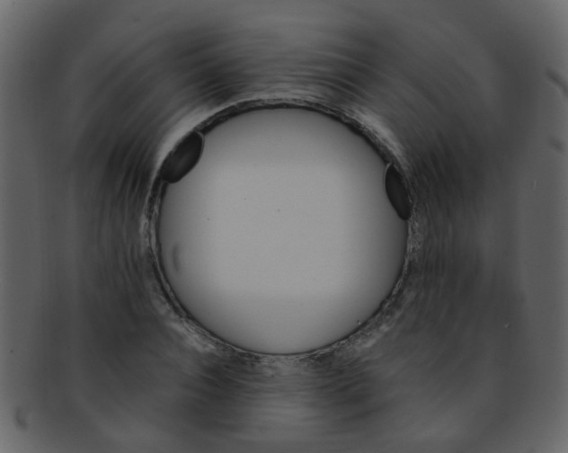 X0000093150928200710171347