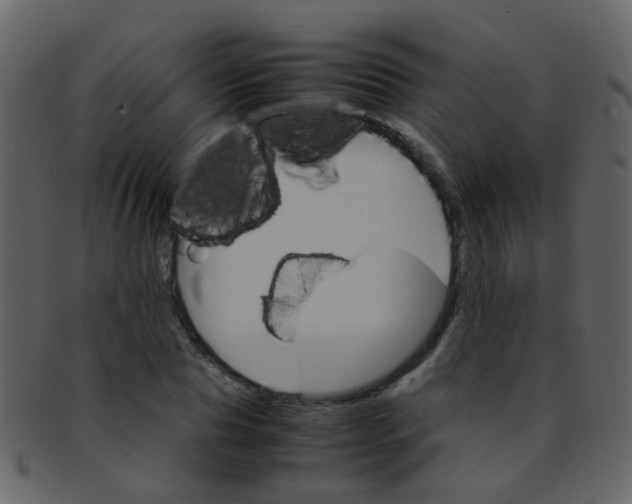 X0000093150929200710171347