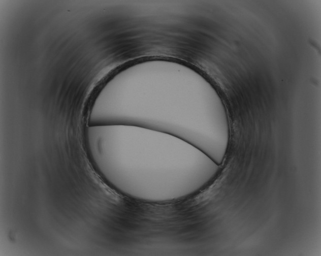 X0000093150931200710171347