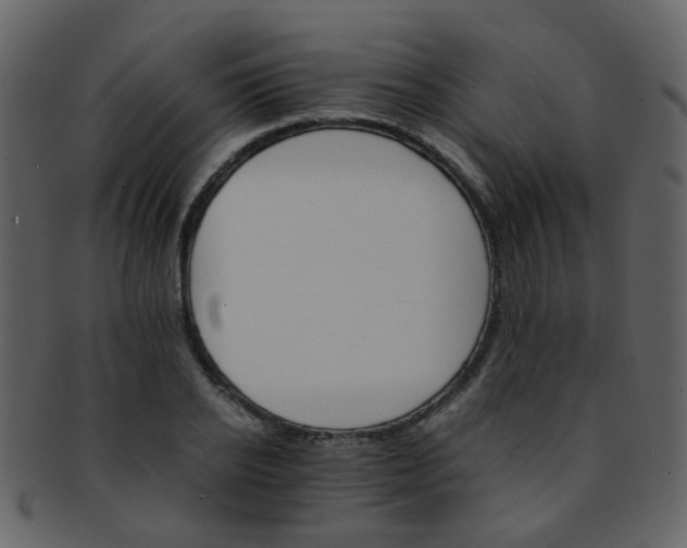 X0000093150934200710171347