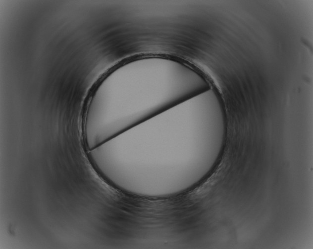 X0000093150935200710171347