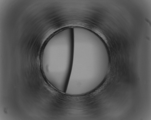 X0000093150936200710171347