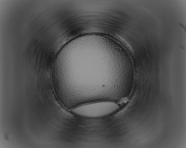 X0000093150937200710171348