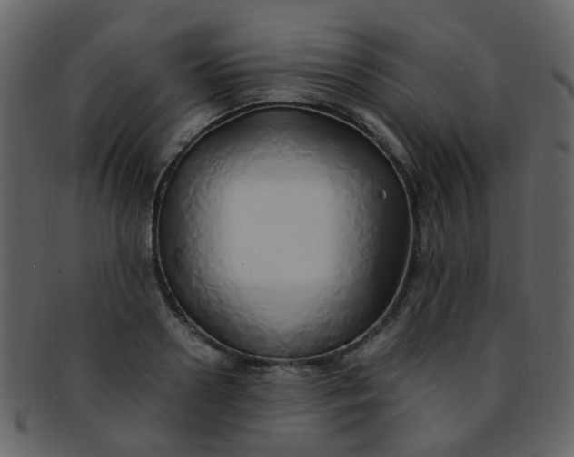 X0000093150938200710171348