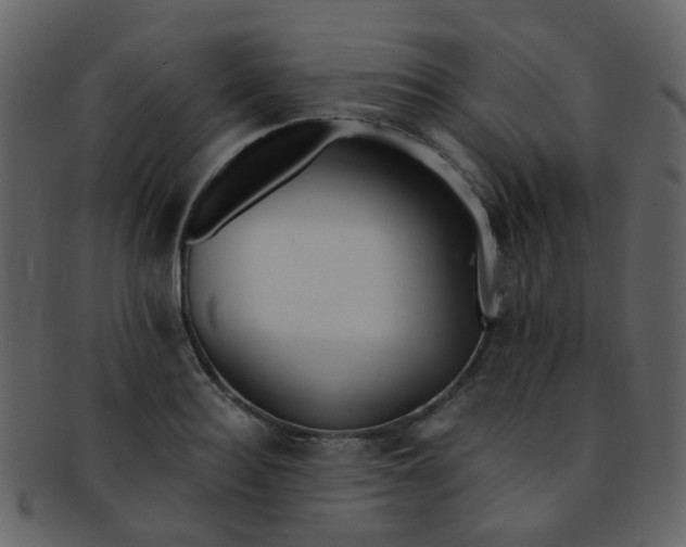 X0000093150940200710171348