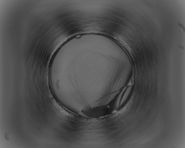 X0000093150941200710171348