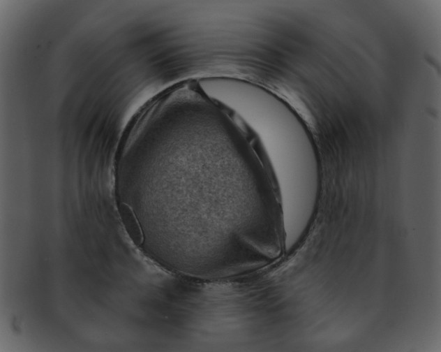 X0000093150944200710171348