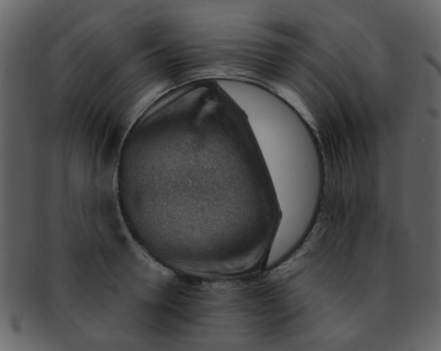 X0000093150946200710171348