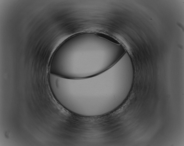 X0000093150948200710171348