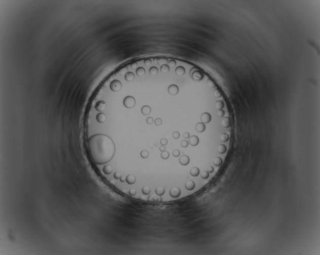 X0000093150949200710171348