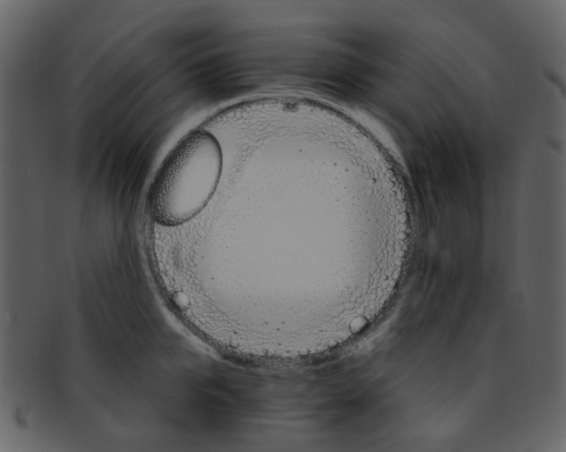 X0000093150950200710171348