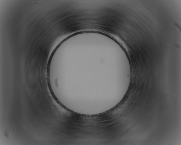 X0000093150951200710171348