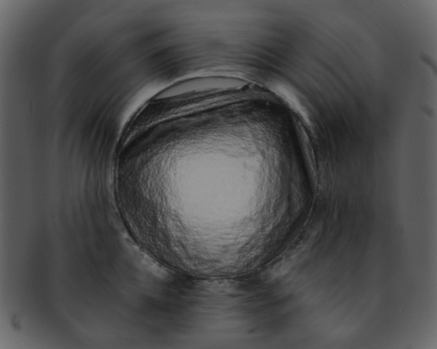 X0000093150952200710171348