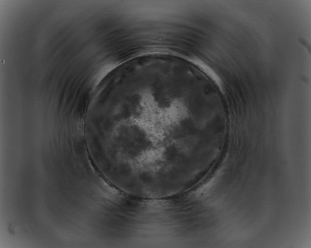 X0000093150953200710171348