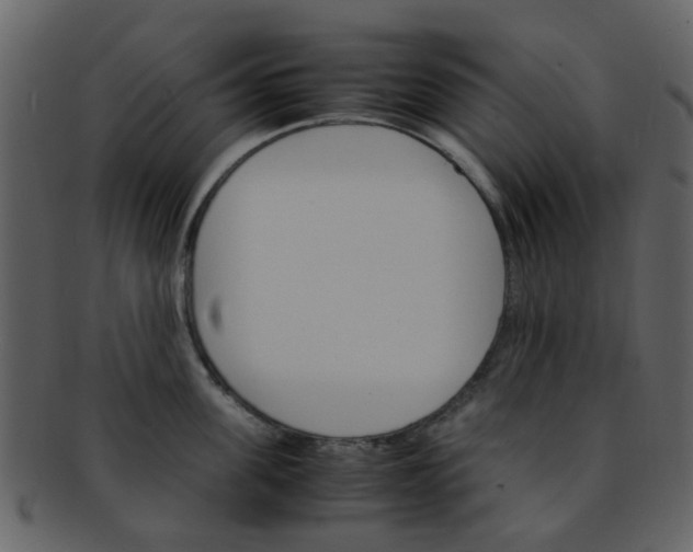 X0000093150955200710171348