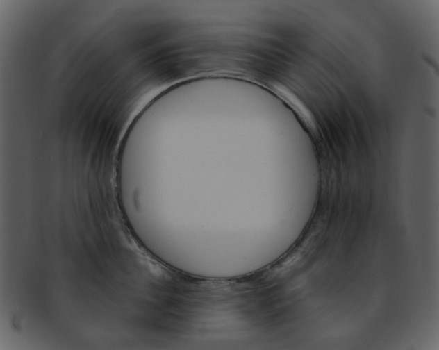 X0000093150956200710171348