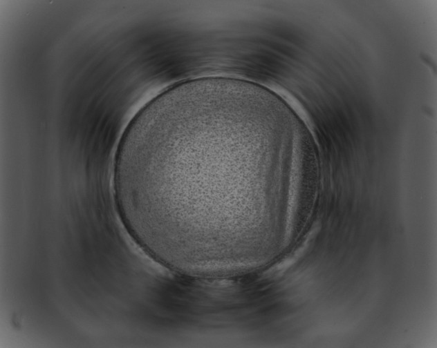 X0000093150957200710171348