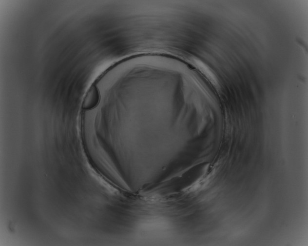 X0000093150958200710171348