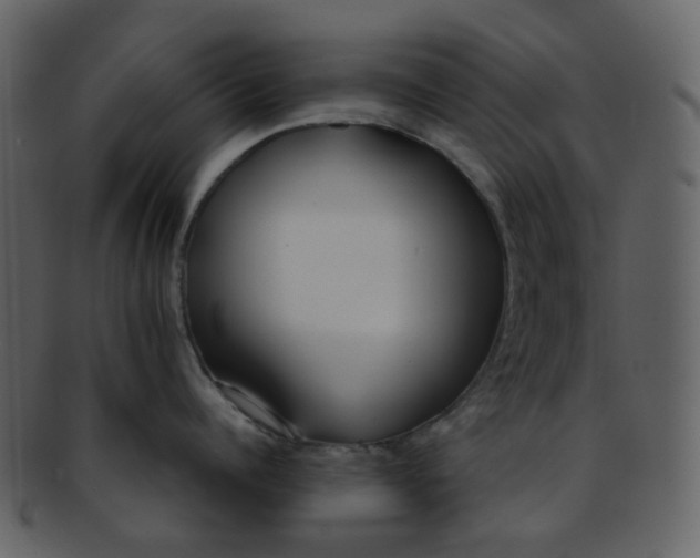 X0000093150960200710171348