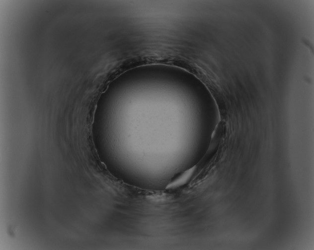 X0000093150961200710171347