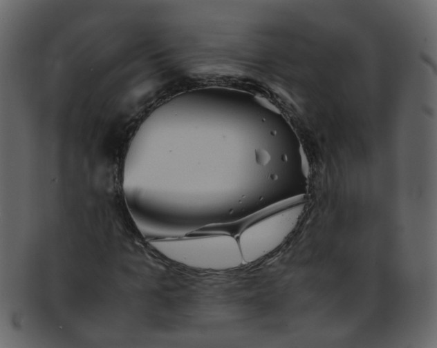 X0000093150965200710171347