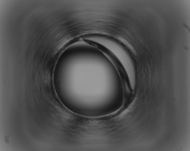 X0000093150969200710171347