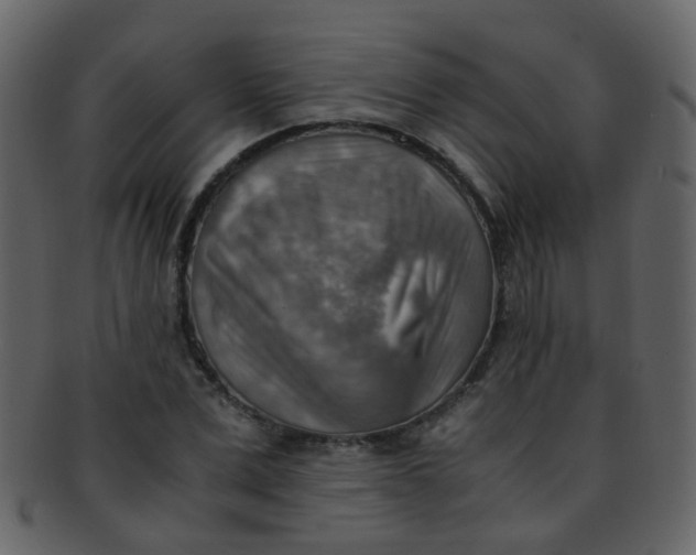 X0000093150975200710171347