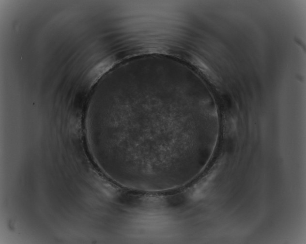 X0000093150977200710171347