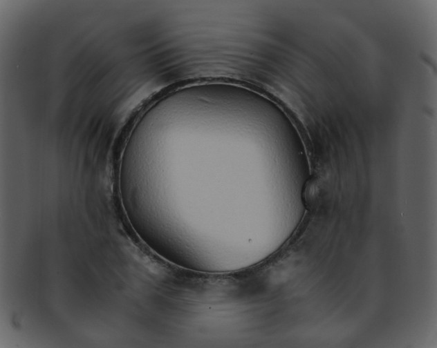 X0000093150979200710171347